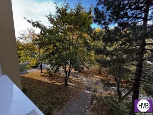 Prodej bytu 1+kk, Praha, Benkova, 33 m2