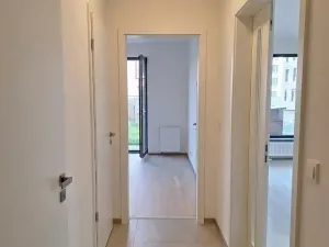 Pronájem bytu 2+kk, Praha - Karlín, Švarcova, 57 m2