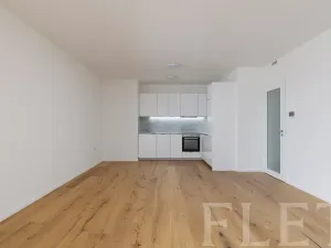 Pronájem bytu 2+kk, Praha - Strašnice, Ramonova, 66 m2