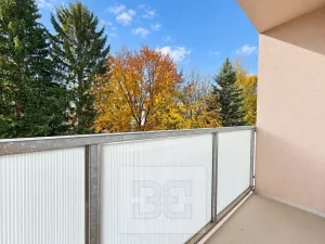 Pronájem bytu 3+1, Žďár nad Sázavou, Haškova, 77 m2