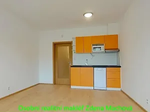 Pronájem bytu 1+kk, Praha - Žižkov, Olšanská, 33 m2