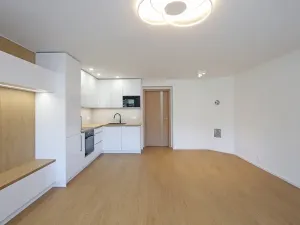 Pronájem bytu 2+kk, Liberec, Šafaříkova, 57 m2