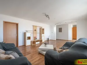 Prodej bytu 3+kk, Hrušovany nad Jevišovkou, 88 m2