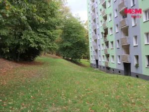 Prodej bytu 3+1, Cheb, Dvořákova, 75 m2