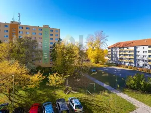 Prodej bytu 2+1, Hodonín, Družstevní čtvrť, 55 m2
