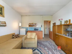 Prodej bytu 1+kk, Plzeň - Východní Předměstí, náměstí Generála Píky, 21 m2