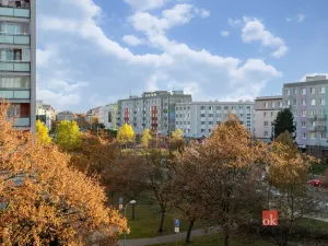 Prodej bytu 1+kk, Plzeň - Východní Předměstí, náměstí Generála Píky, 21 m2