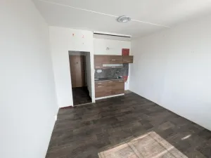 Pronájem bytu 1+kk, Most, U Věžových domů, 22 m2