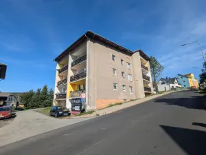 Pronájem bytu 1+1, Dolní Poustevna, Vilémovská, 24 m2