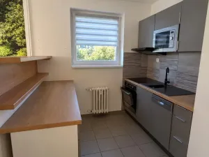 Pronájem bytu 2+1, Dolní Poustevna, Vilémovská, 59 m2