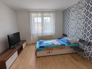 Prodej bytu 1+1, Most, Josefa Dobrovského, 29 m2