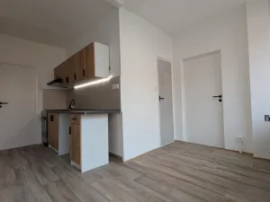 Pronájem bytu 3+1, Most, M. G. Dobnera, 63 m2