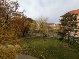 Pronájem bytu 3+1, Most, M. G. Dobnera, 63 m2