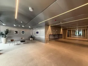Pronájem bytu 1+kk, Praha - Karlín, Křižíkova, 33 m2
