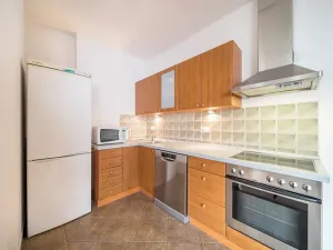 Pronájem bytu 2+kk, Brno, Tučkova, 80 m2