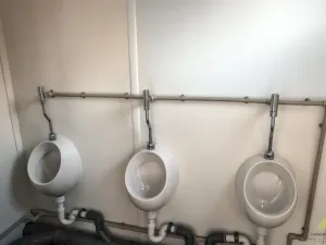 Pronájem komerční nemovitosti, Břeclav - Charvátská Nová Ves, 705 m2