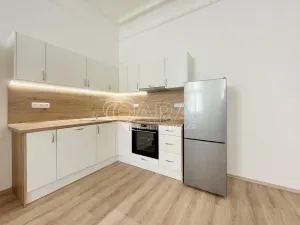Pronájem bytu 2+kk, Praha - Vinohrady, Mánesova, 47 m2