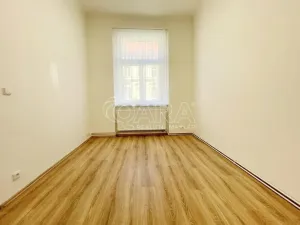 Pronájem bytu 2+kk, Praha - Vinohrady, Mánesova, 47 m2