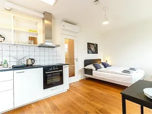 Pronájem bytu 1+kk, Praha - Vinohrady, Perucká, 25 m2