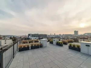Pronájem bytu 1+kk, Praha - Vinohrady, Perucká, 25 m2