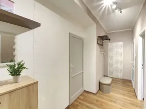 Prodej bytu 3+1, Planá, Fučíkova, 63 m2
