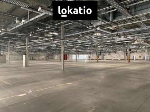 Pronájem skladu, Plzeň, 10300 m2