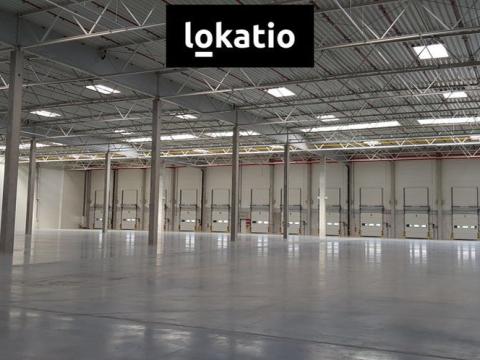 Pronájem skladu, Jirkov, 4500 m2