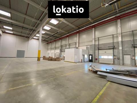 Pronájem skladu, Olomouc, 7587 m2