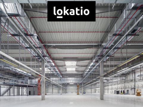 Pronájem skladu, Ostrava, 5000 m2