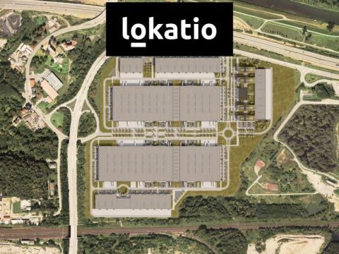 Pronájem skladu, Ostrava, Bohumínská, 13500 m2