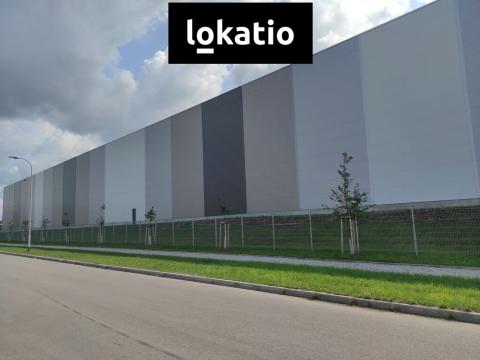 Pronájem skladu, České Budějovice, Okružní, 4100 m2