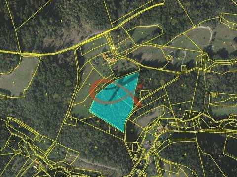 Prodej lesa, Hutisko-Solanec, 9679 m2