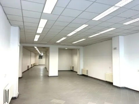 Pronájem obchodního prostoru, Teplice, Masarykova třída, 293 m2