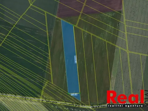 Prodej pole, Křenovice, 38914 m2