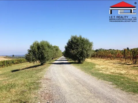 Prodej zahrady, Vranovice, 350 m2