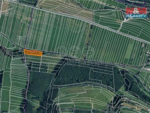Prodej trvalého travního porostu, Hovězí, 4650 m2