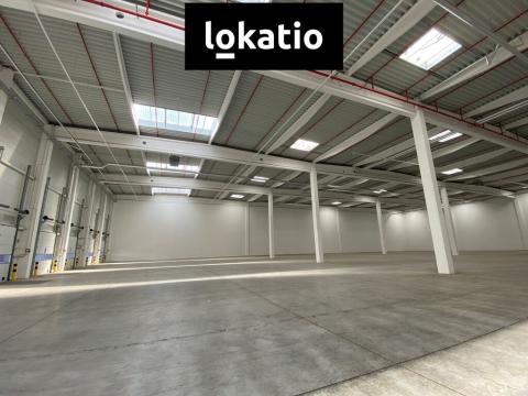 Pronájem skladu, Ostrava - Vítkovice, 5195 m2