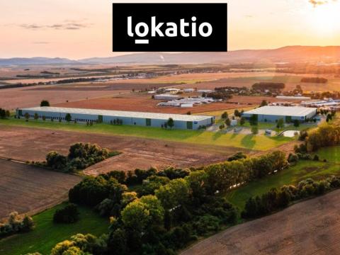 Pronájem skladu, Údlice, 5000 m2