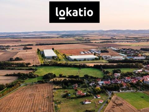 Pronájem skladu, Údlice, 12500 m2