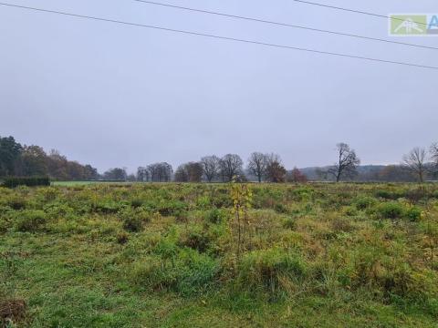 Prodej pozemku pro bydlení, Poříčí nad Sázavou, Pyšelská, 1953 m2