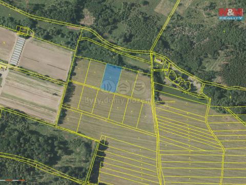 Prodej trvalého travního porostu, Kdyně - Podzámčí, 3951 m2