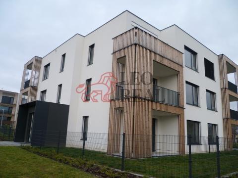 Pronájem bytu 1+kk, Olomouc, Karla Mareše, 57 m2