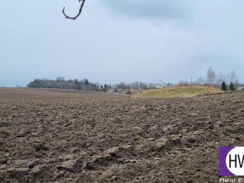 Prodej zemědělské půdy, Číčovice, 14648 m2