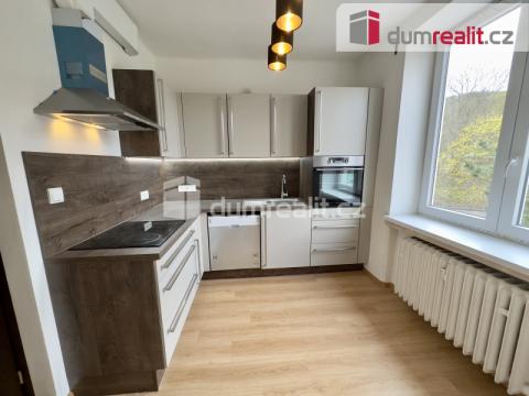 Pronájem bytu 2+1, Ústí nad Labem, Alešova, 58 m2