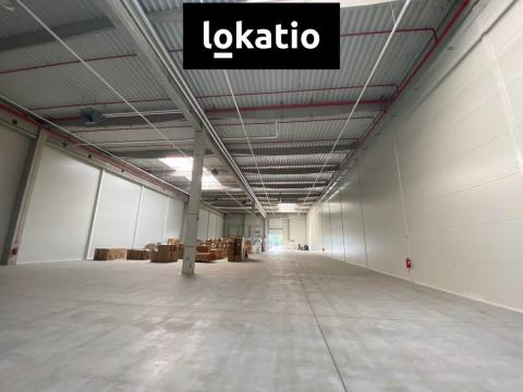 Pronájem skladu, Ostrava, 1589 m2