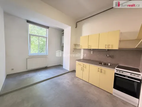 Pronájem bytu 1+1, Ústí nad Labem, Šaldova, 45 m2