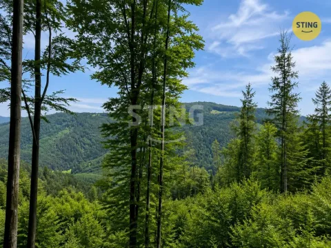 Prodej trvalého travního porostu, Košařiska, 6262 m2