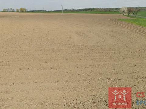 Prodej zemědělské půdy, Štítary, 38124 m2