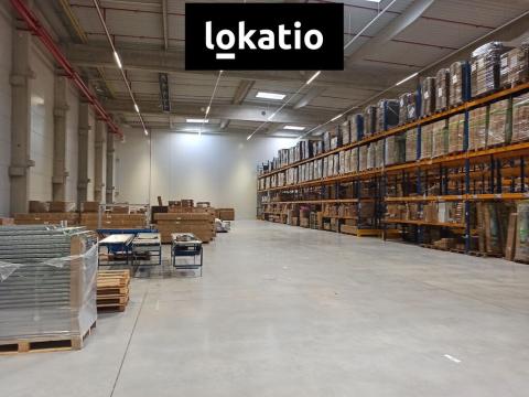 Pronájem skladu, Ostrov, 700 m2