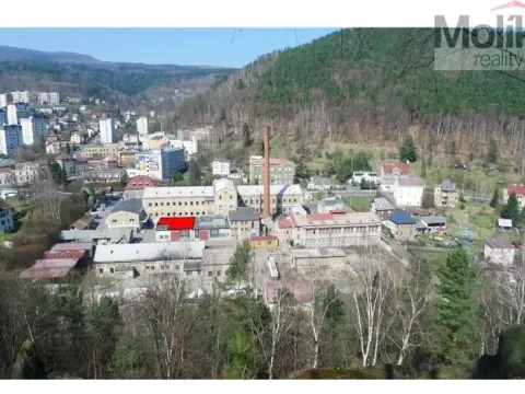 Pronájem výrobních prostor, Děčín - Děčín IX-Bynov, Teplická, 150 m2